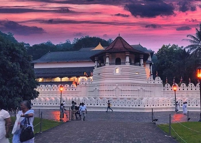 kandy1