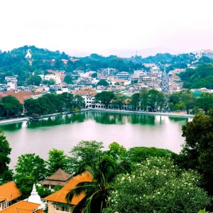 anu tours sri lanka (7)
