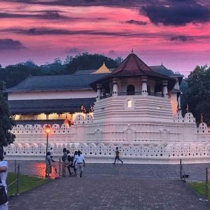 kandy1